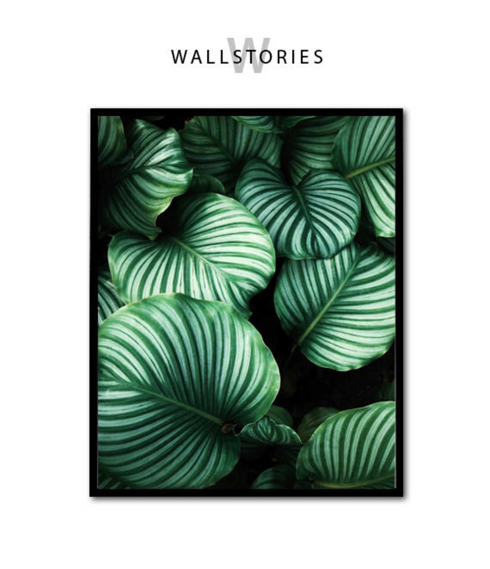 Green Leaves Print, Leaf Photography, Close up Leaves, Green