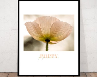 Poppy, Flower close-up,  Flower Photography, Flower Print, Flower Wall Art, Poppy, Photography, Botanical Wall Art, Close-up, Macro Flower