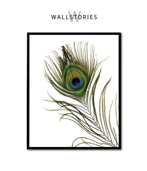 Peacock Feather Print, Peacock Feather Decor, Tropical Feather