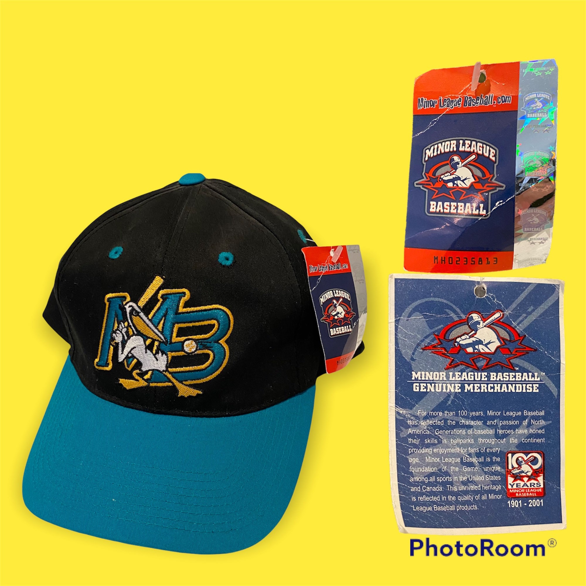 Myrtle beach pelicans hat cheap
