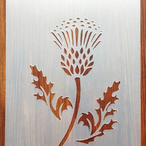 Thistle Stencil Mask Reusable PP Sheet for Arts & Crafts, DIY