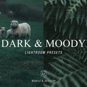 5 Dark and Moody Presets, Mobile & Desktop Lightroom Presets, Photography Presets, Moody Tone Presets
