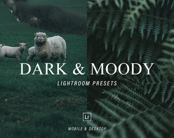 5 predefinições escuras e temperamentais, predefinições do Lightroom para dispositivos móveis e desktop, predefinições de fotografia, predefinições de tons temperamentais