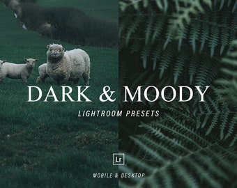 5 Dark and Moody Presets, Mobile & Desktop Lightroom Presets, Photography Presets, Moody Tone Presets