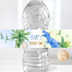 Editable Dinosaur Blue Bottle Label, For Boy, Dino T-Rex Blue Birthday Water Bottle Labels, Blue Three Rex Decor Water Bottle Labels