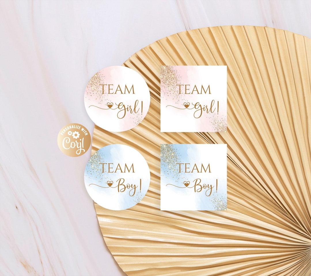 Gender Reveal Baby Shower Stickers, He or She Stickers, Boy or Girl ...