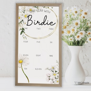 Cadre pour le premier anniversaire d'une marguerite, signe d'un an pour les photos mensuelles, décoration de marguerite pour le 1er anniversaire, panneau d'affichage de photos pour la fête des marguerites