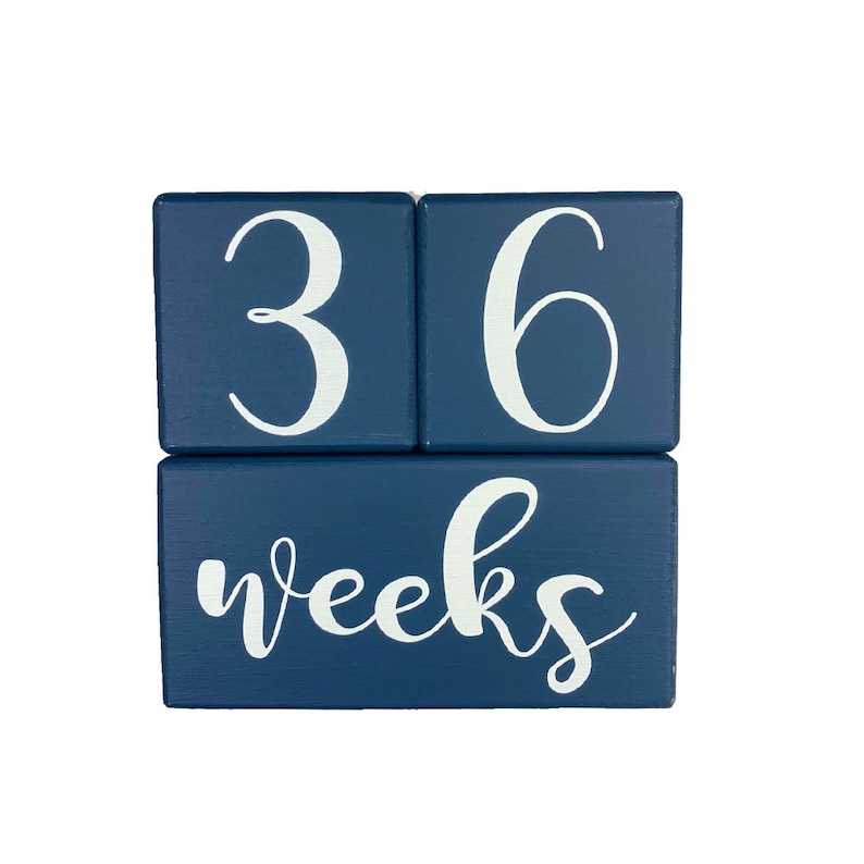 Custom Baby Milestone Blocks Age Blocks Baby Month Blocks Etsy