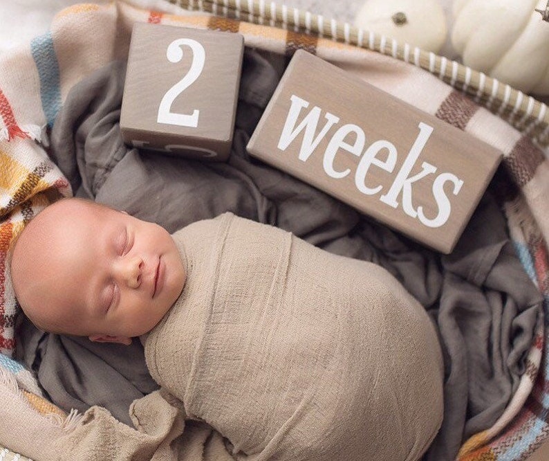 monthly milestone blocks