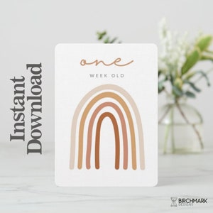 Cartes bébé jalon arc-en-ciel, accessoires photo imprimables DIY jalons mensuels pour filles et garçons