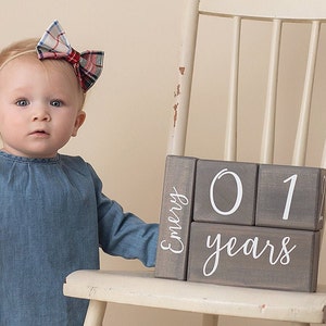 Milestone blocks personalized by Birchmark Designs in Willow script font with a one year old baby
