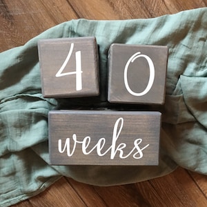 Milestone blocks by Birchmark Designs in Willow script font showing 40 weeks