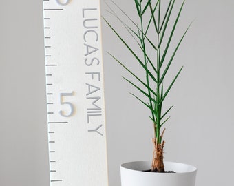 Regla de crecimiento moderna 3D, regla de madera para niños, regla de pared gigante, tabla de altura en blanco con gris, fuente de impresión en mayúsculas