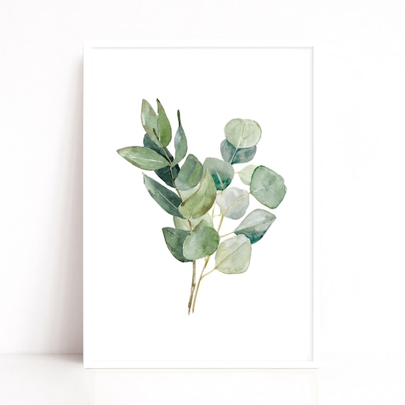 Green Eucalyptus Leaf Stem Art Print | Nature Inspired Botanical Wall Art