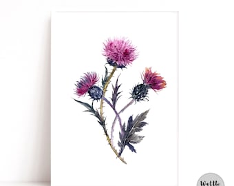 Scottish Thistle Plant Watercolour Art Print | Purple Art Print
