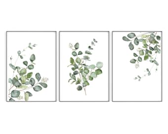 Botanical Art Print Set of 3 | Watercolour Eucalyptus Leaf Prints | Wall Decor