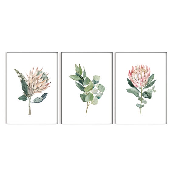 Botanical Art Print Set of 3 | Watercolour Protea Flower Prints