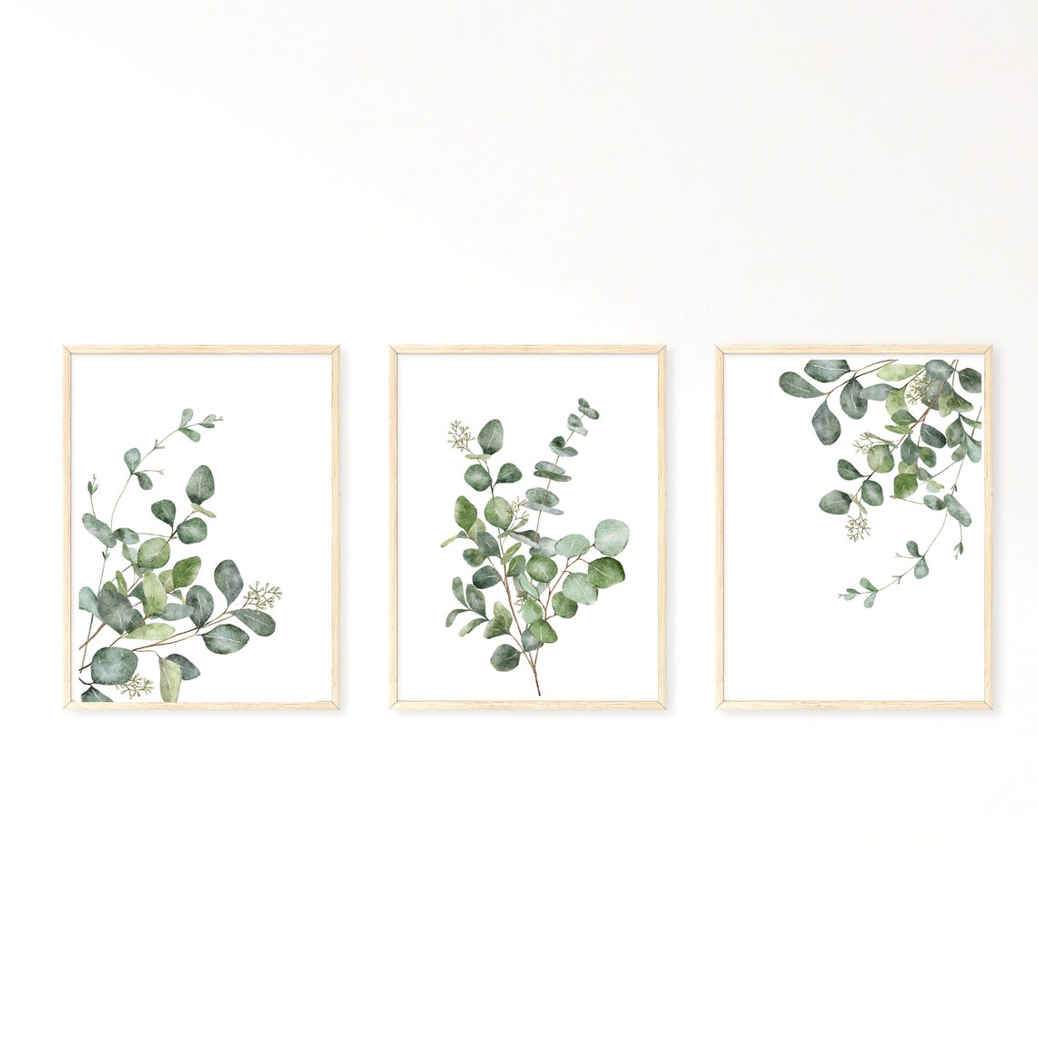 Botanical Art Print Set of 3 | Watercolour Eucalyptus Leaf Prints ...
