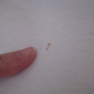 May include: A close-up of a small brown stain on a white fabric surface.