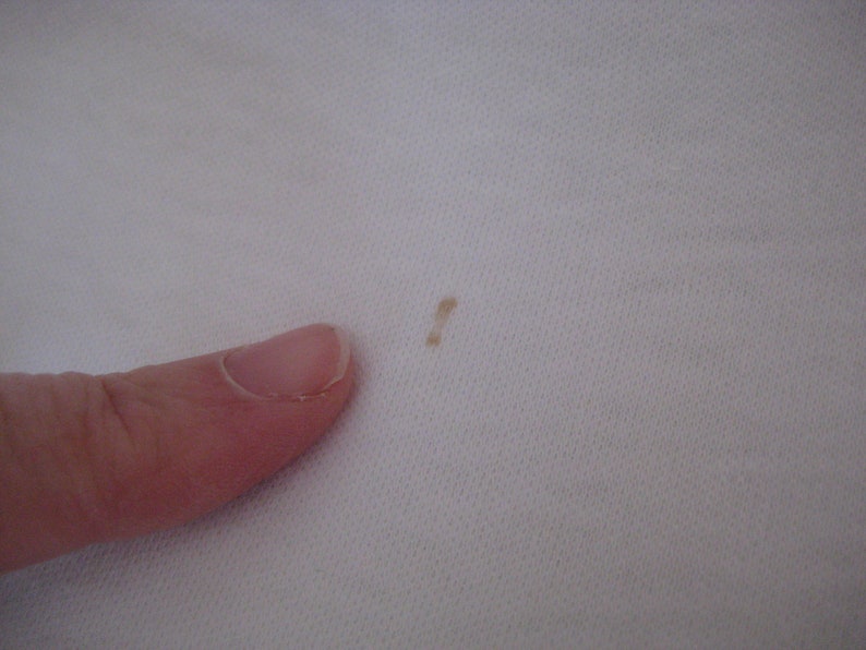 May include: A close-up of a small brown stain on a white fabric surface.