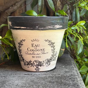 May include: Cream-colored ceramic flower pot with a black rim. The pot features the text "PARIS EAU DE COLOGNE Distillée sur Fleurs N° 222" in black script and a floral design. The pot is set against a backdrop of green foliage.