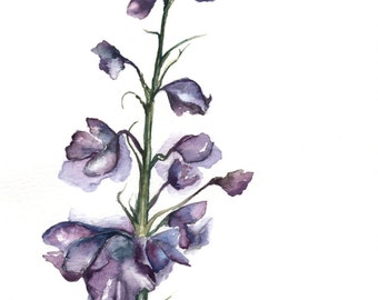 Watercolor Wildflower Print