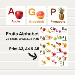 Alphabet printable children’s flashcard, preschool alphabet flash cards for toddlers, homeschool printable kids activity alphabet cards