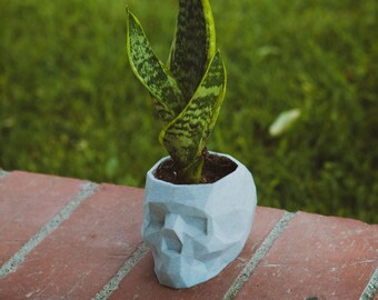 Plantenpot - Menselijke Schedel Planter - 3D Geprint