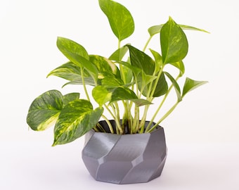 3D Printed Geometric Planter - Plant Pot - Minimalist