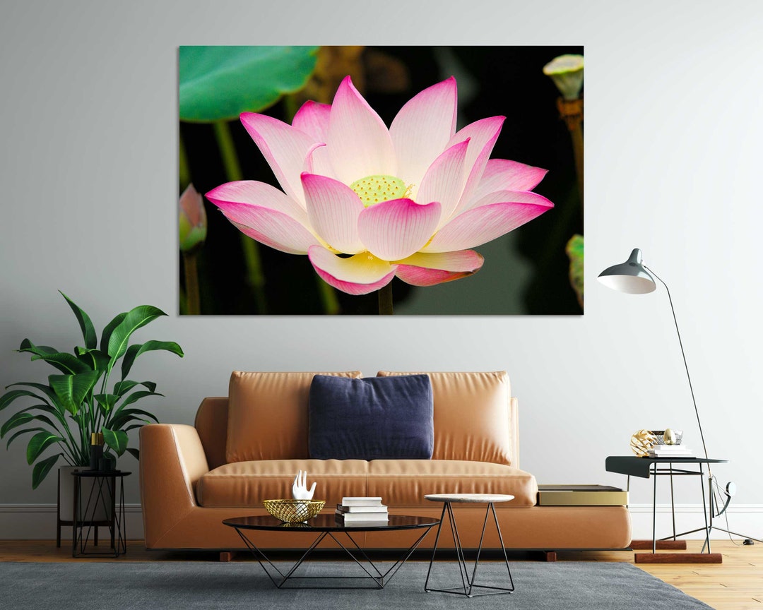 Pink Lotus Flower Photography Print – Botanical Zen Wall Art - Etsy