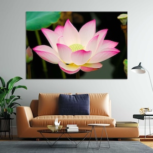 Impresión fotográfica de flor de loto rosa: arte mural botánico, póster de floración natural, decoración floral de jardín zen, obra de arte de nenúfar