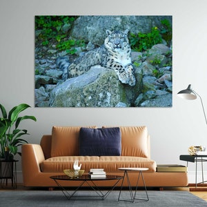Leopard on Stone Printing Canvas, Leopard Photo Painting, Leopard Picture for Wall, Wild Animals Decor, Safari Prints, Wildlife Wall Art