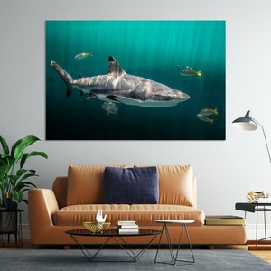Conjuntos de telas com estampas de tubarão, decoração de parede grande com peixes selvagens, arte de tubarão para presente, decoração de parede moderna com tubarão, decoração com pinturas de animais marinhos, arte oceânica