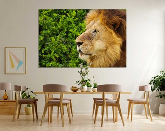 Löwen Portrait Fotografie Druck - Afrikanische Wildtier-Leinwand-Kunst