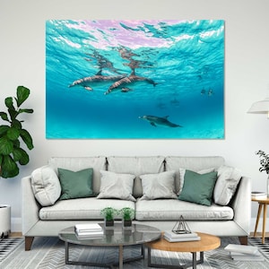 Dolphins Underwater Photography Print – Ocean Wildlife Wall Art | Marine Life Poster, Tropical Sea Decor, Nature Lover’s Artwork