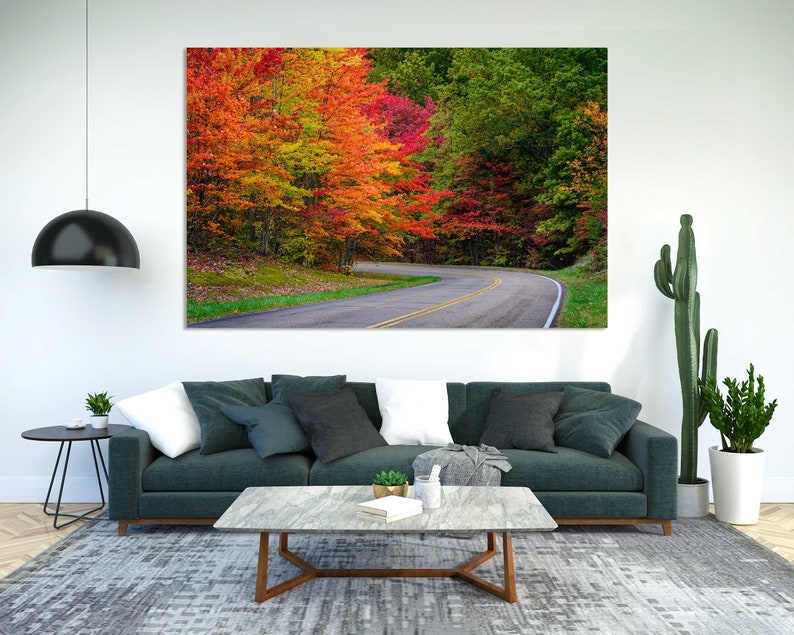 Autumn Road Surrounded by Colorful Trees Popular Decor for Interior