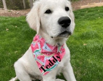 Personalized Dog Bandana, Watermelon,  Dog Scarf, Cat Scarf, Dog Gift, Puppy Bandana