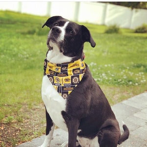 Boston bruins dog bandana discount