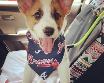 atlanta braves pet gear