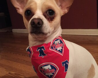 phillies dog jersey
