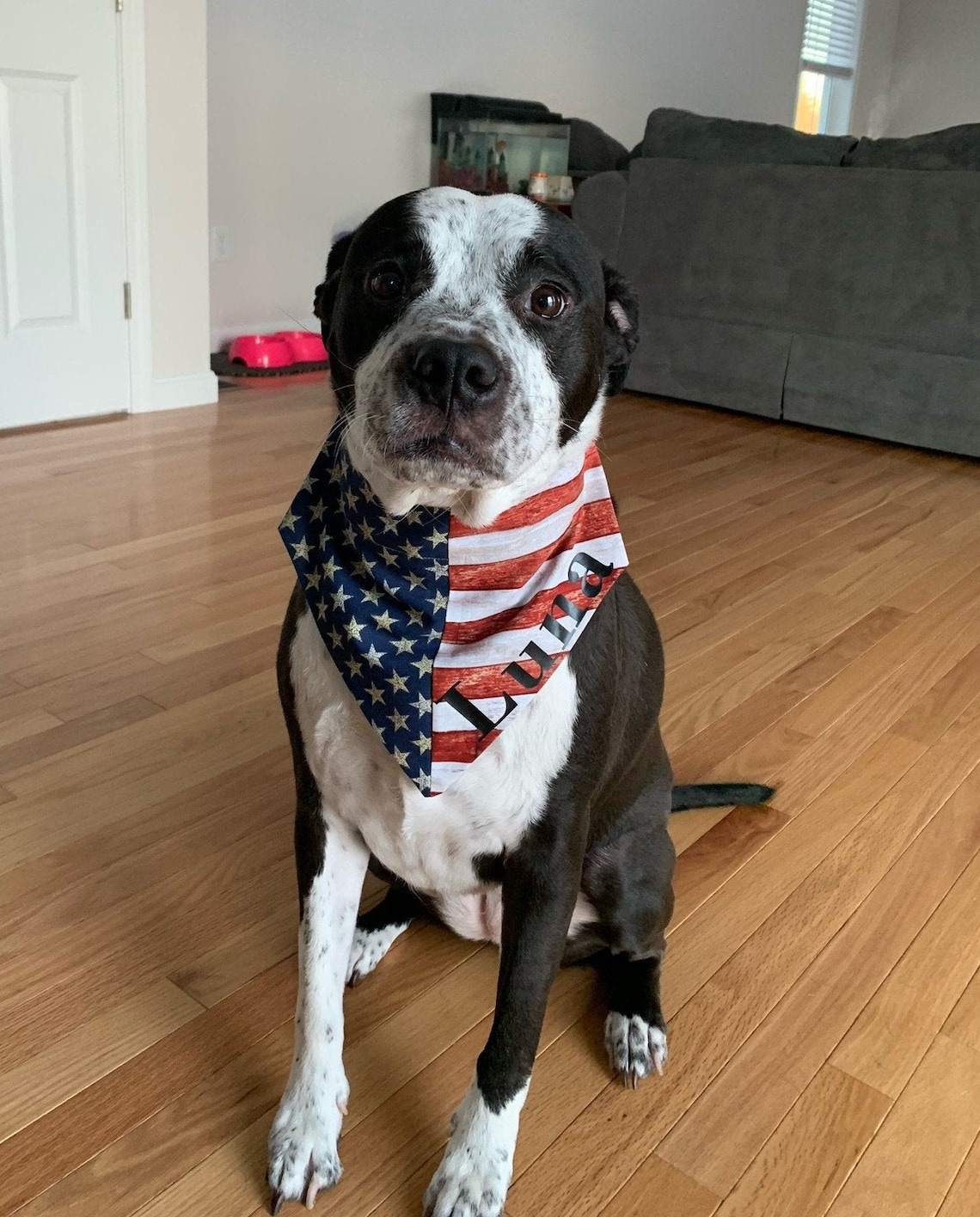 American Flag Personalized Dog Bandana Flag Bandana with Etsy
