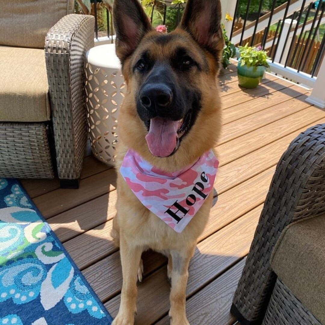 Pink Camo Dog Bandana With Name, Scarf, Puppy Gift, Slides Over Collar