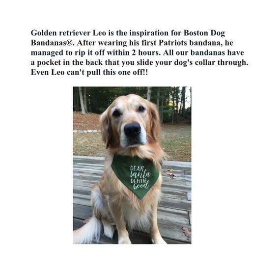 slide on dog bandana