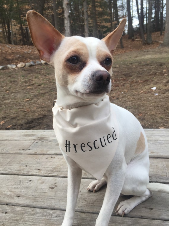Dog Bandana Scarf Hashtag Collection rescued Bandana Etsy