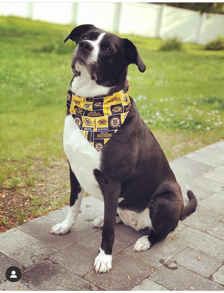 Boston Bruins Dog Jerseys, Bruins Pet Carriers, Harness, Bandanas, Leashes