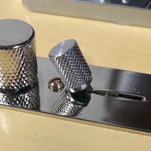 Könnte beinhalten: Nahaufnahme eines silbernen Gitarrenknopfs mit gerändeltem Design. Der Knopf ist an einer silbernen Metallplatte befestigt.