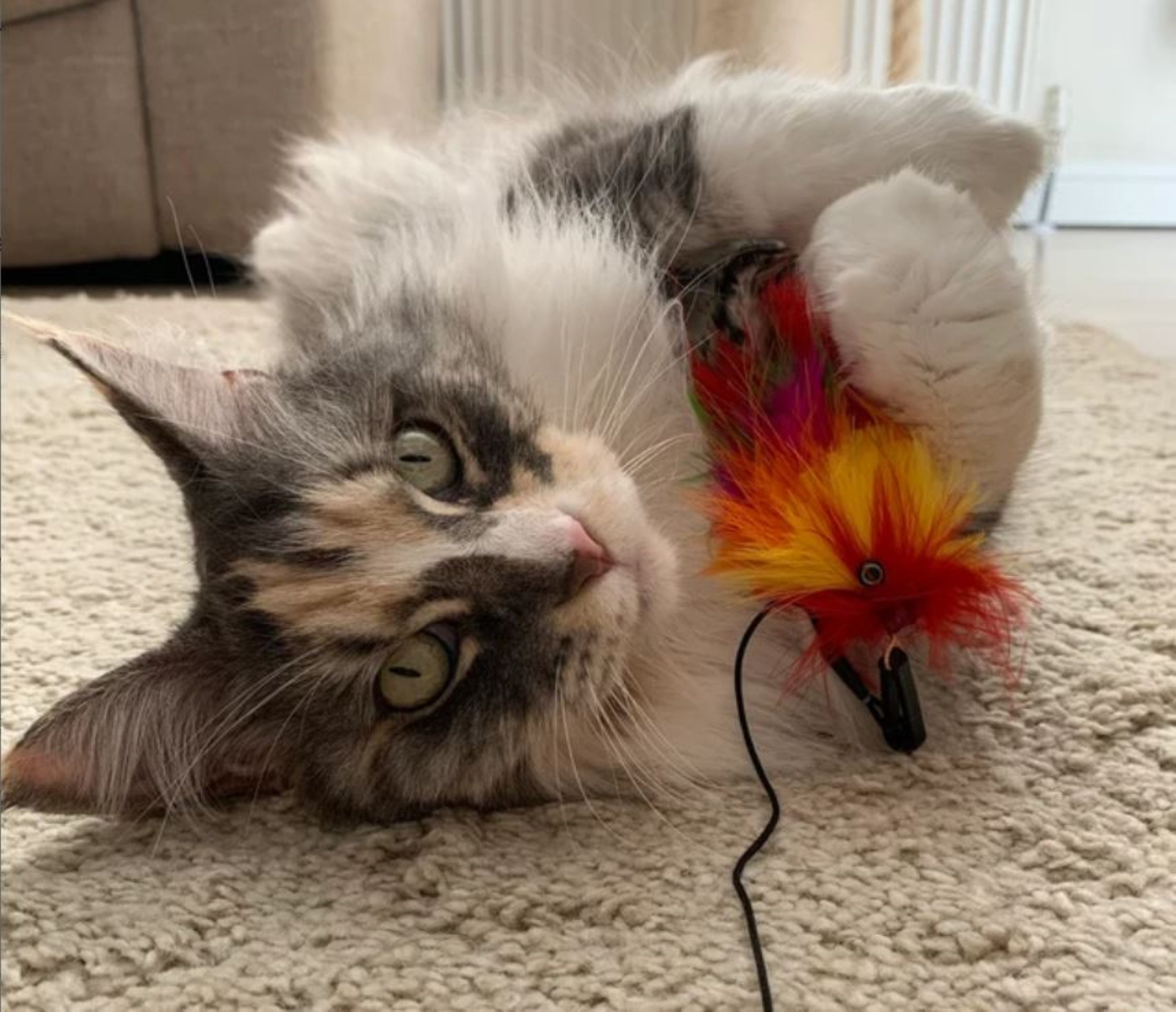 500 litre fish tank for sale