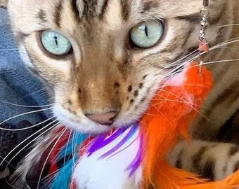 Percy Parrot Cat Toy: Handmade Feather Bird Teaser by Tiga Toys