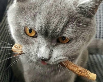Silvervine Cat Chew Sticks: Natural Vegan Dental Treats (3 or 10 Pcs)