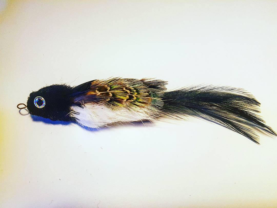 Bettie Black Bird cat toy by Tiga Toys realistic feather chase toy pl…